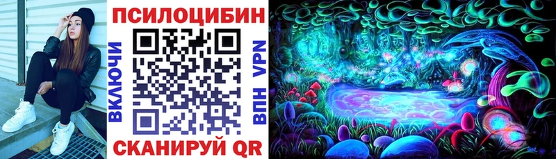 Галлюциногенные грибы MAGIC MUSHROOMS  darknet какой сайт  Цимлянск 
