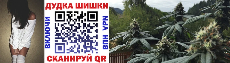 Бошки Шишки планчик  Цимлянск 